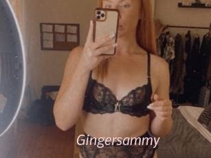 Gingersammy