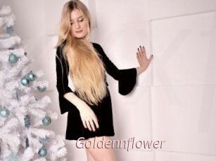 Goldennflower