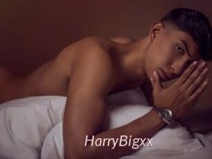 HarryBigxx