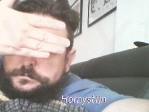 Hornystijn