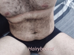Hairybear18