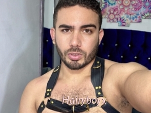Hairyboyx