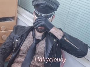Hairycloudy