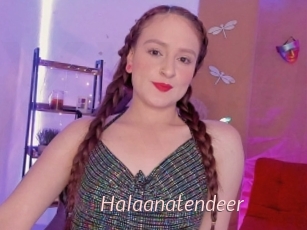 Halaanatendeer