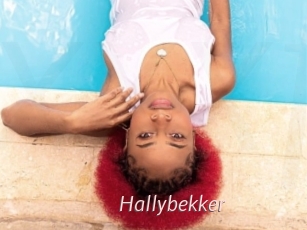 Hallybekker