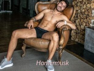 Hamermusk