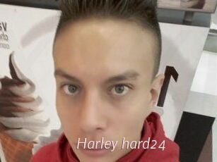Harley_hard24