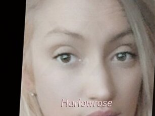 Harlowrose