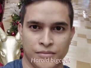 Harold_bigcock