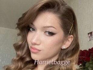 Harrietbagge