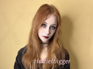 Harrietbigger