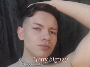 Harry_big029