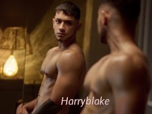 Harryblake