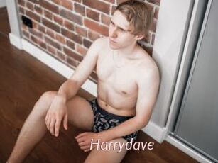 harrydave xxx Free Sites