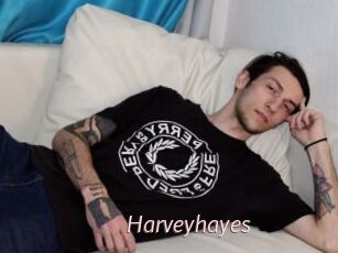 Harveyhayes