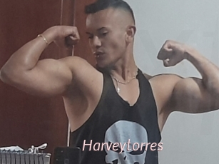 harveytorres xxx Free Sites