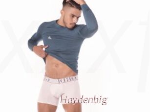 Haydenbig