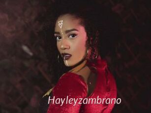 Hayleyzambrano
