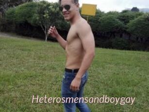 Heterosmensandboygay