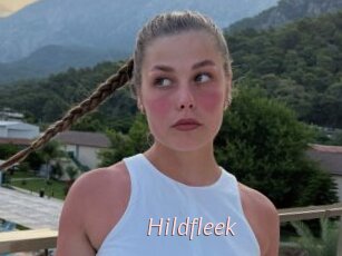 Hildfleek