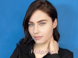 Hildgosson