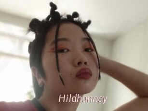 Hildhanney