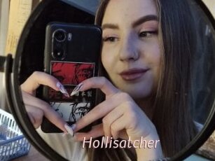 Hollisatcher