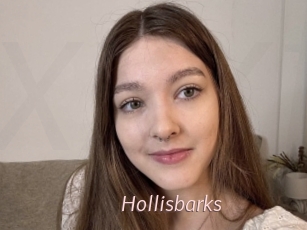 Hollisbarks
