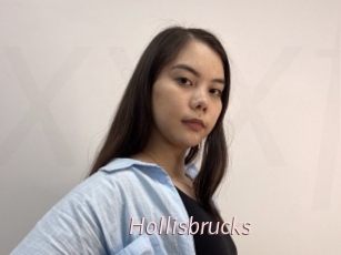 hollisbrucks xxx Free Sites