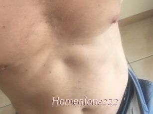 Homealone222