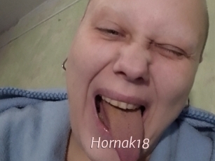 Hornak18