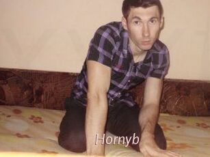 Hornyb