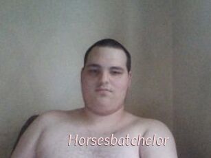 Horsesbatchelor
