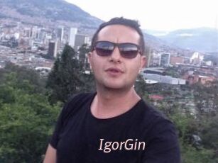 IgorGin