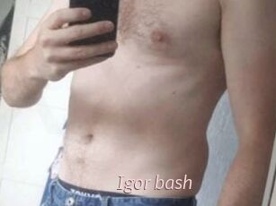 Igor_bash