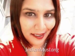 IndianMustang