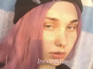 InexCactus