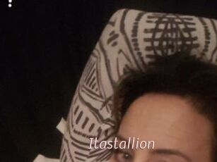 Itastallion