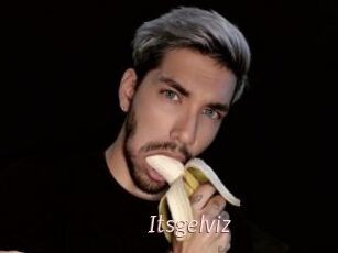Itsgelviz