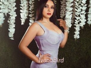 IvanaBird