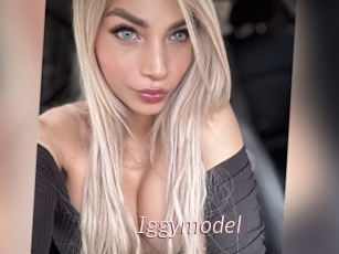 Iggymodel
