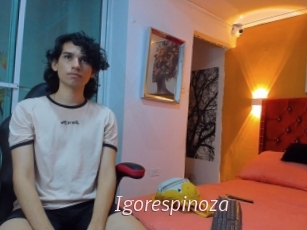 Igorespinoza