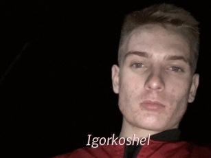 Igorkoshel