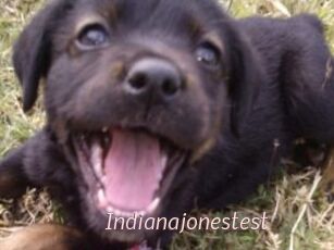Indianajonestest
