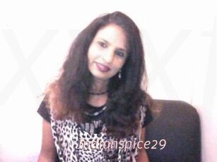 Indianspice29