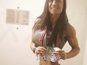 Indigofox