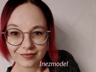 Inezmodel