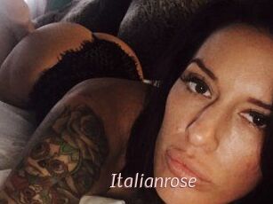Italianrose