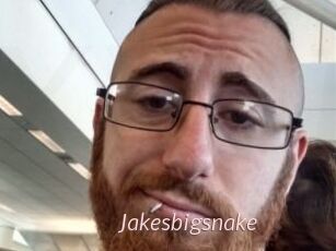 Jakesbigsnake
