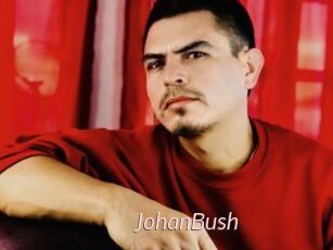 JohanBush